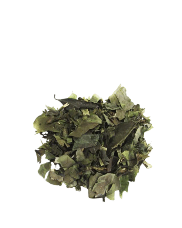 Chá Verde