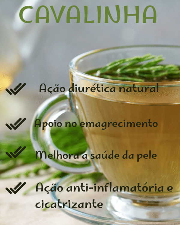 Cavalinha - Image 2