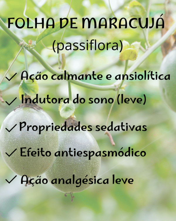 Folha de Maracujá(passiflora) - Image 2