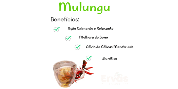Mulungu - Image 2