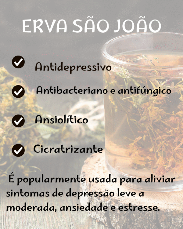 Erva de São João - Image 2