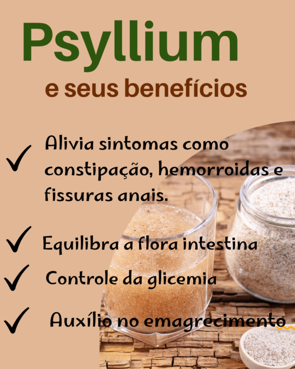 Psyllium - Image 2