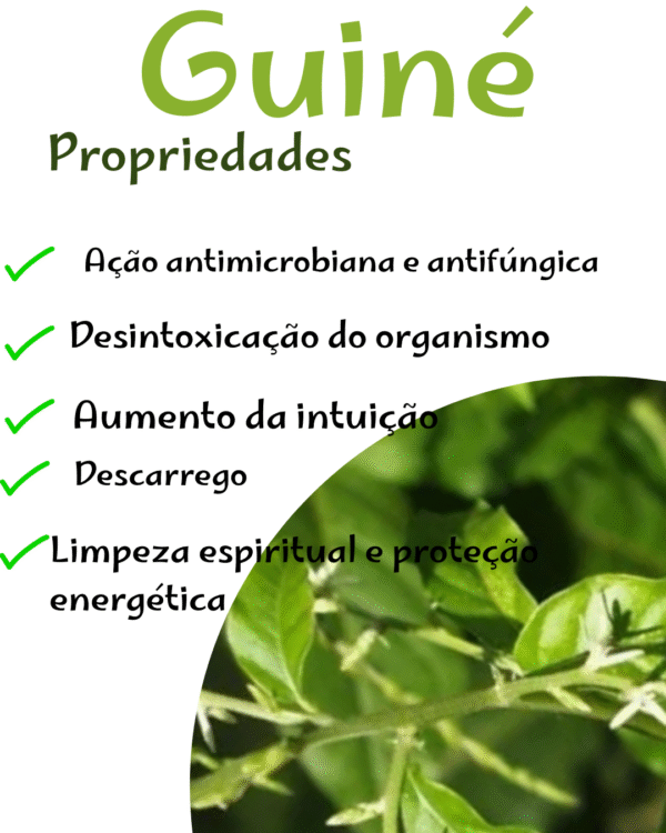 Guiné - Image 2