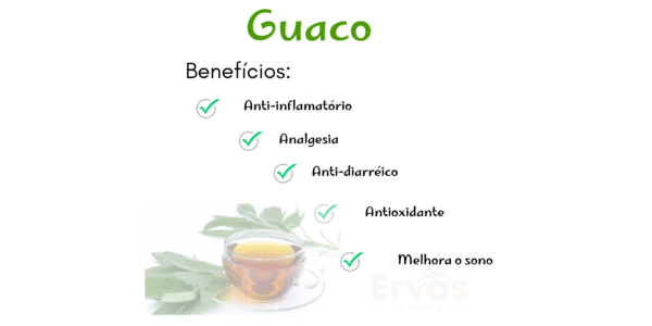 Guaco - Image 2