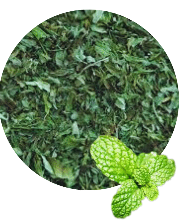 Hortelã-Pimenta