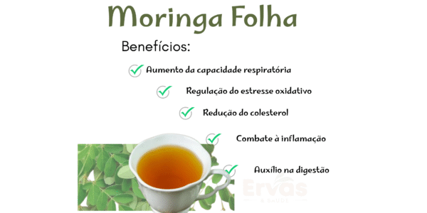 Moringa(folha) - Image 2