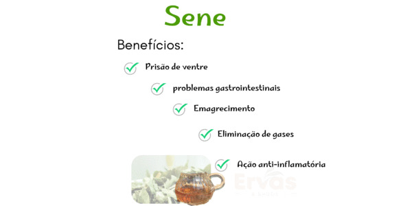Sene - Image 2