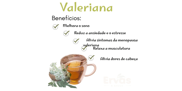 Valeriana - Image 2