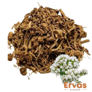 valeriana